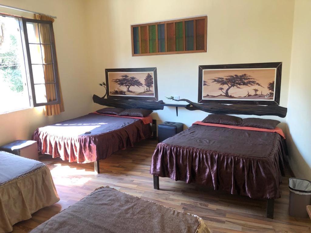 Hostal Huacachina Sunset Ica Luaran gambar